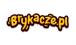 https://brykacze.pl/